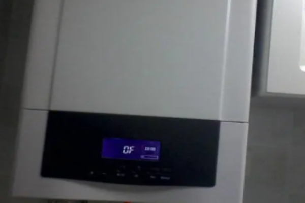 金丝燕燃气壁挂炉